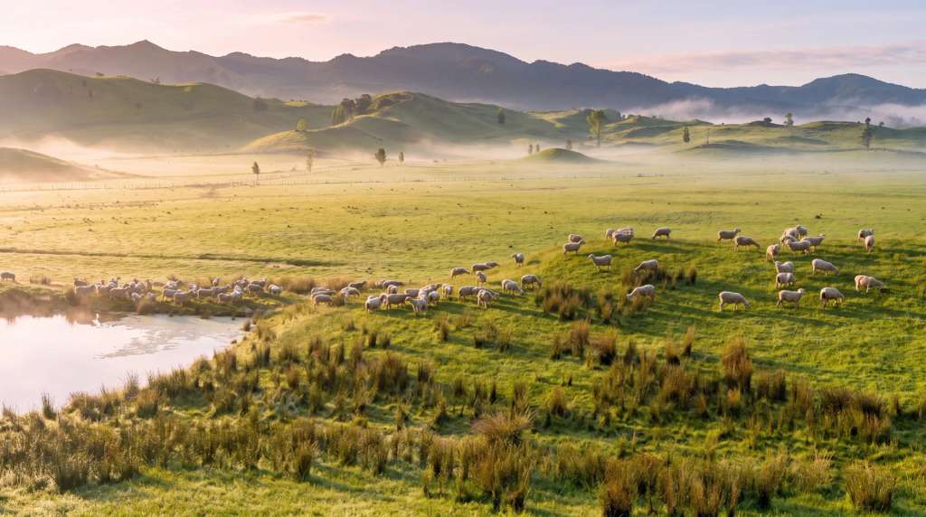 Where Is Greytown? An Hour Over the Remutaka Hill