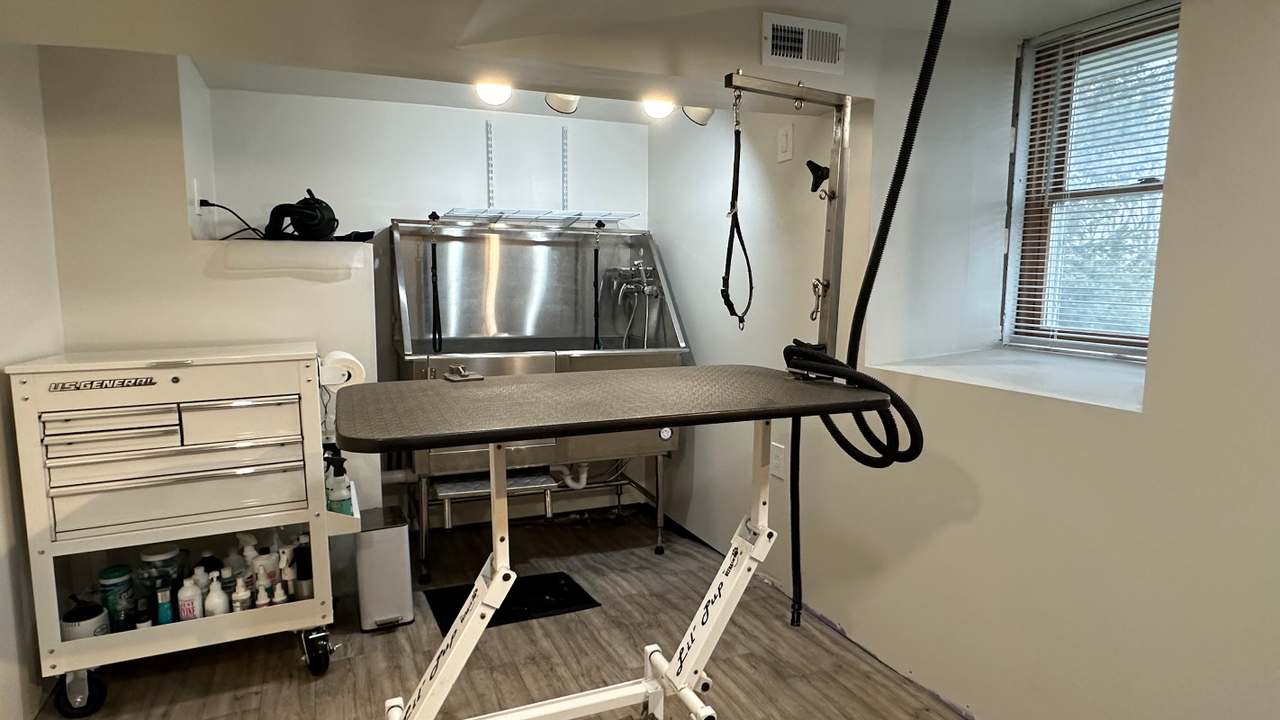 The Elegant Pet llc — photo 1