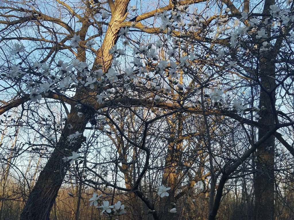 Willow Bay Nature Preserve
