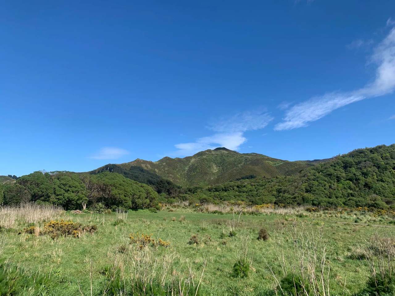 Tawatawa Reserve — photo 1