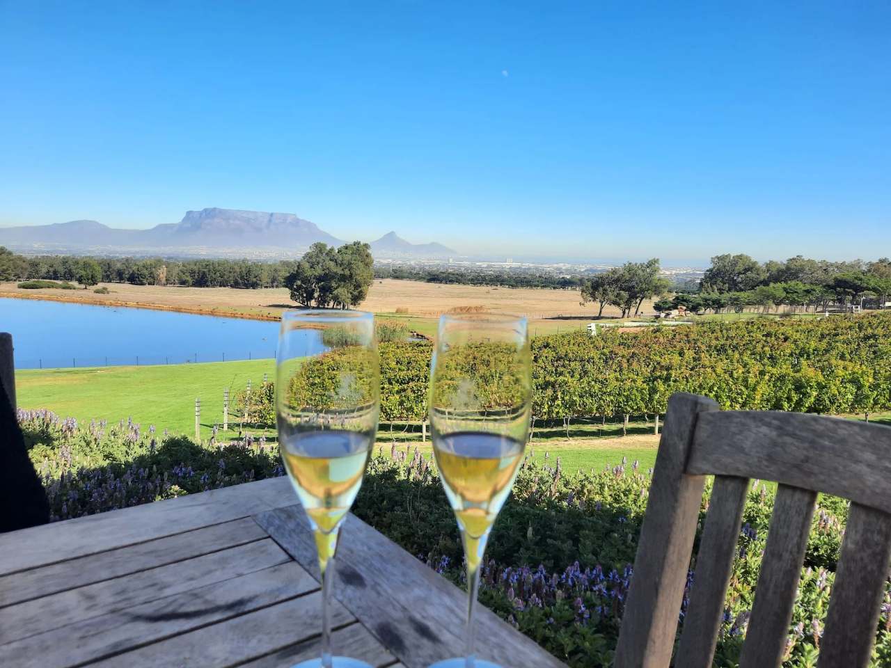 De Grendel Wine Estate and Restaurant — photo 5