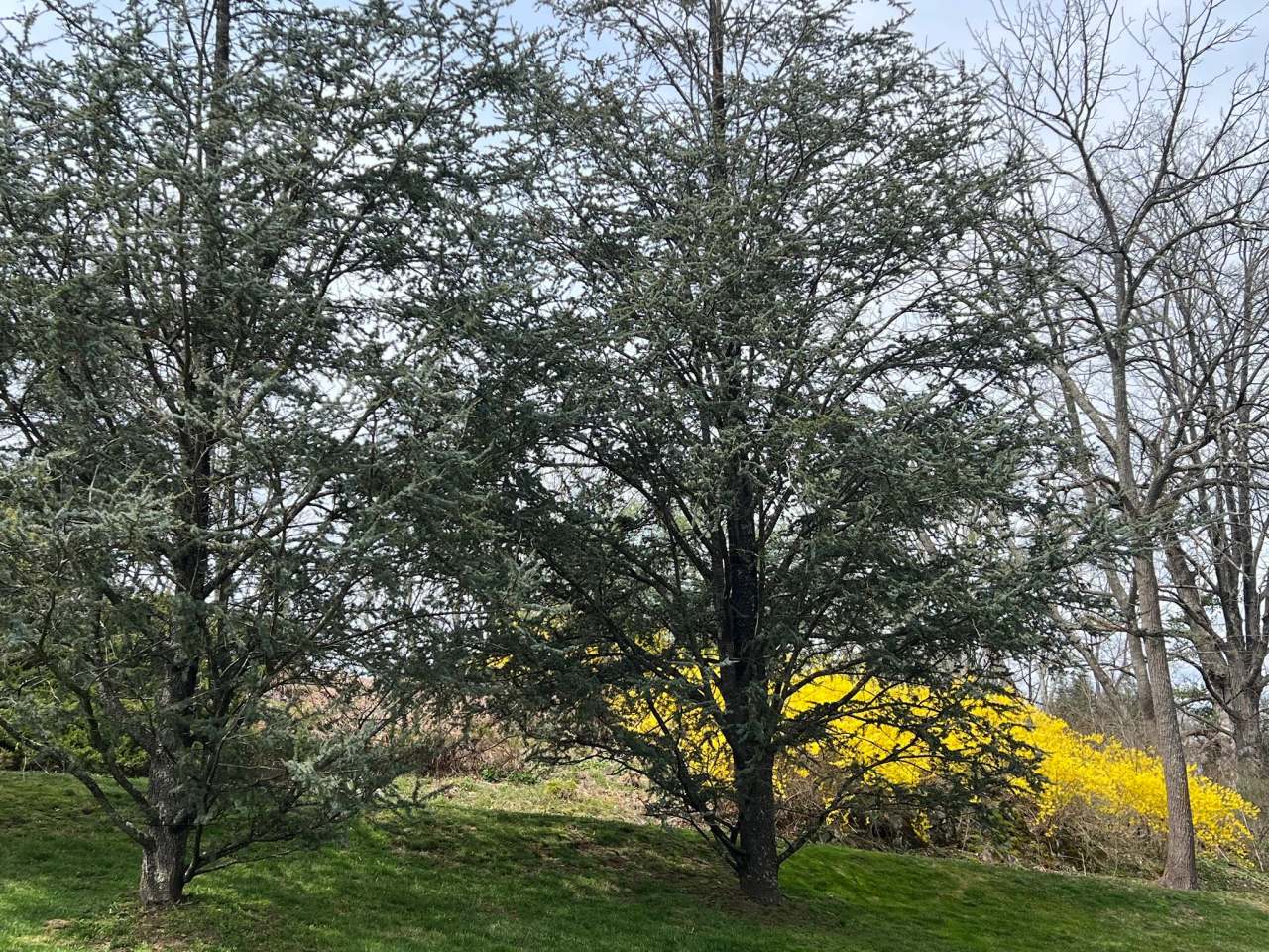 Long Meadow Landscaping — photo 1