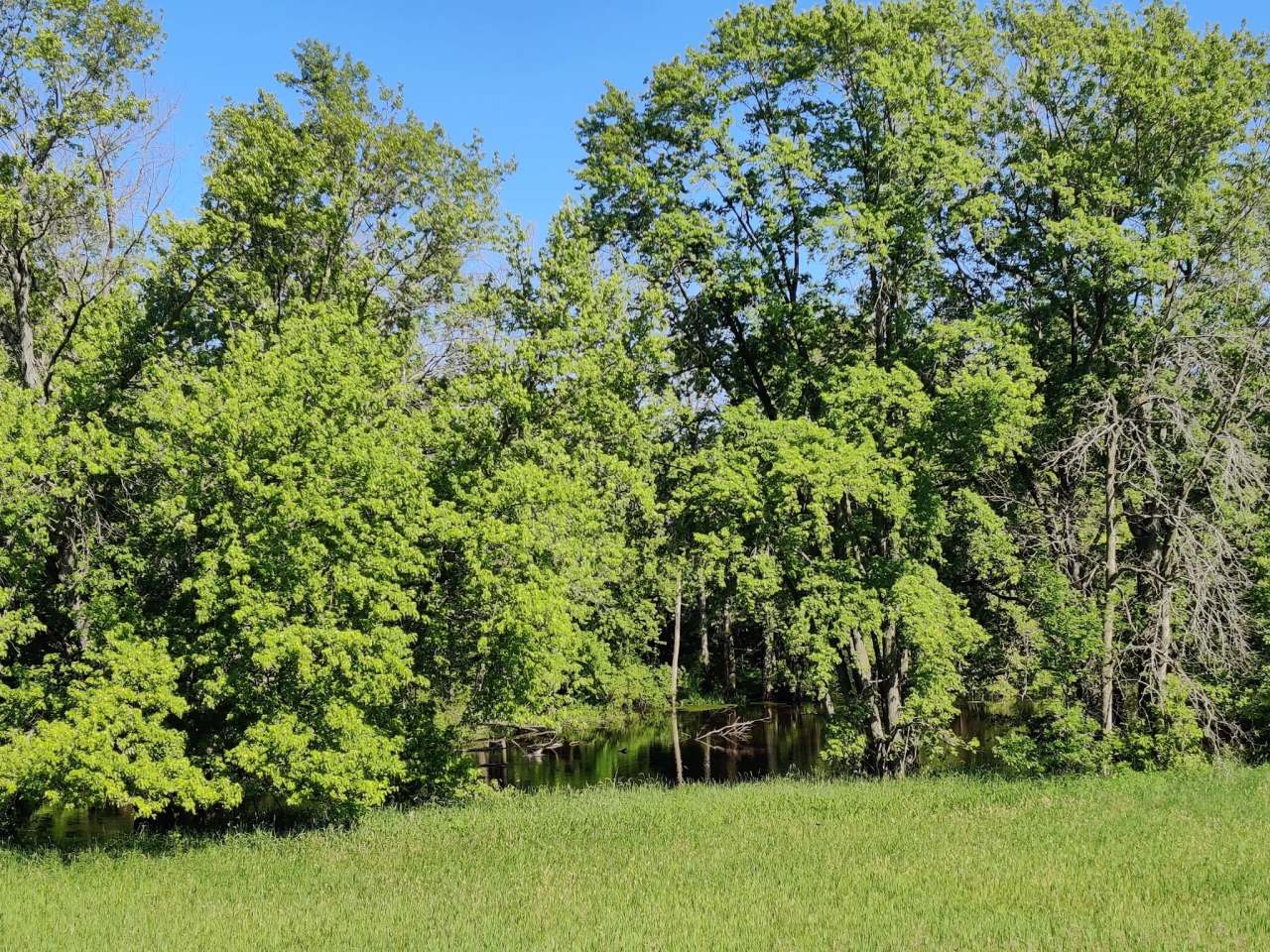 Ice Age Trail - Milwaukee River Trailhead — photo 10