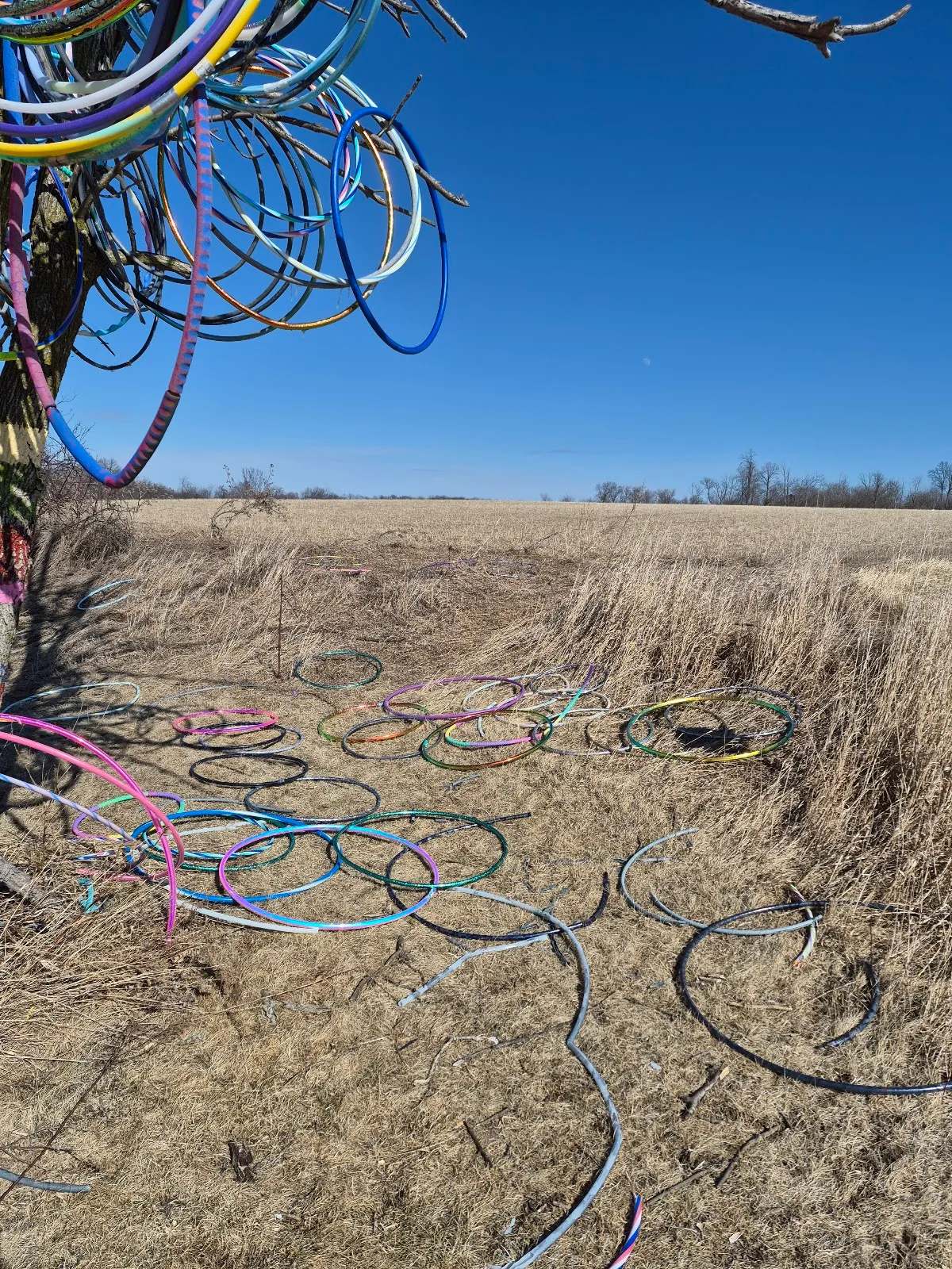 Hula Hoop Tree — photo 2