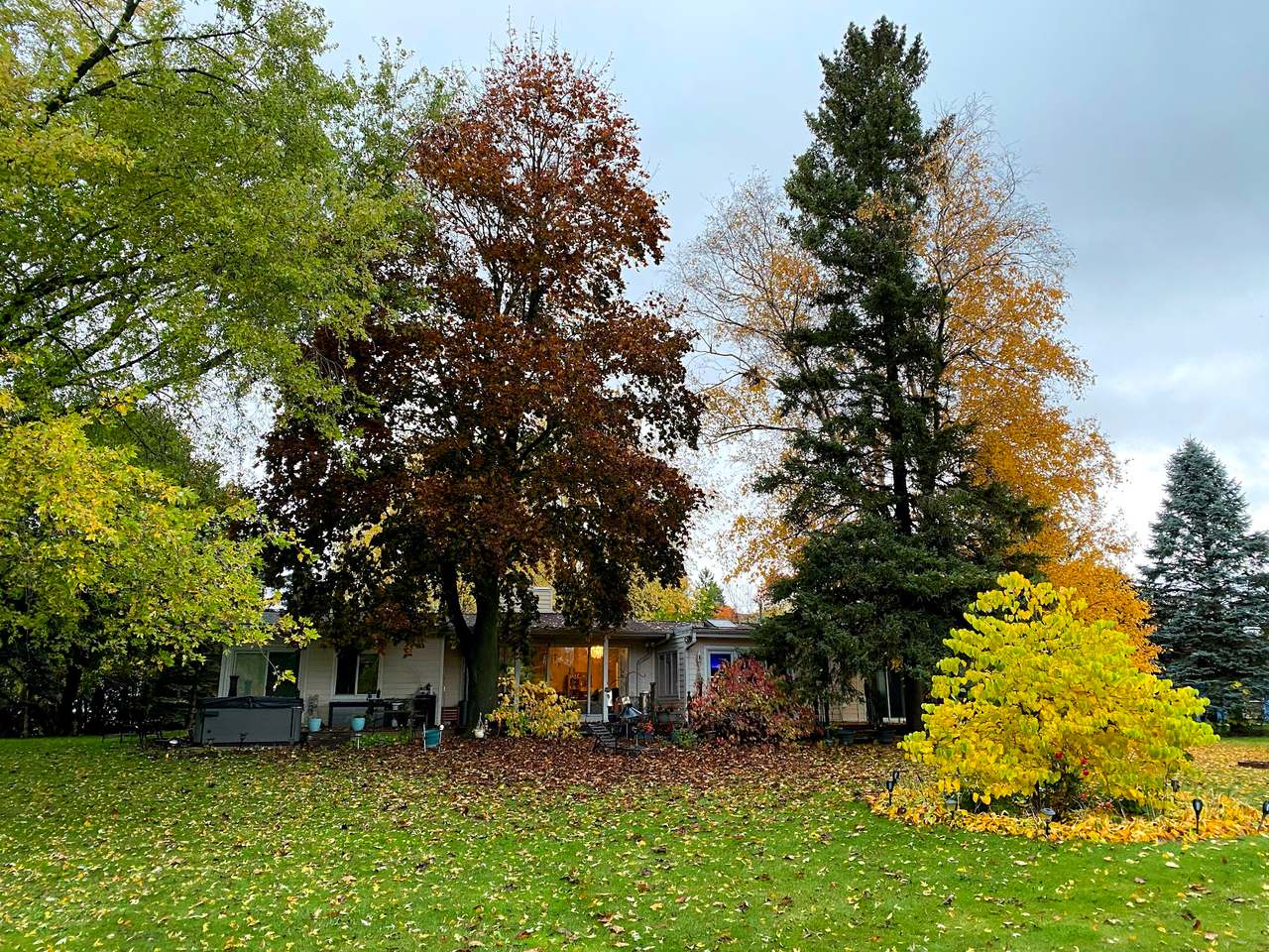A Retreat to Vitality — photo 1