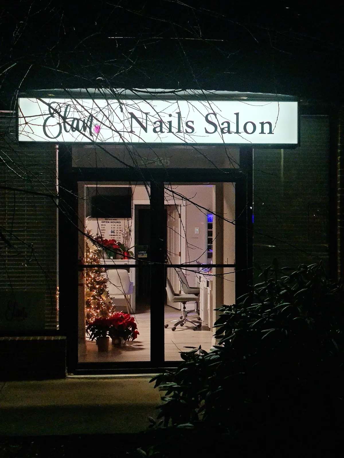Elan Nails Salon — photo 1