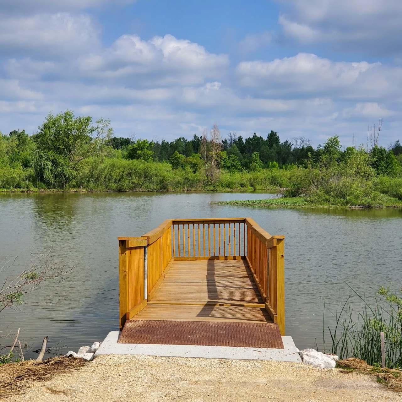 Trinity Creek Wetland Habitat — photo 3