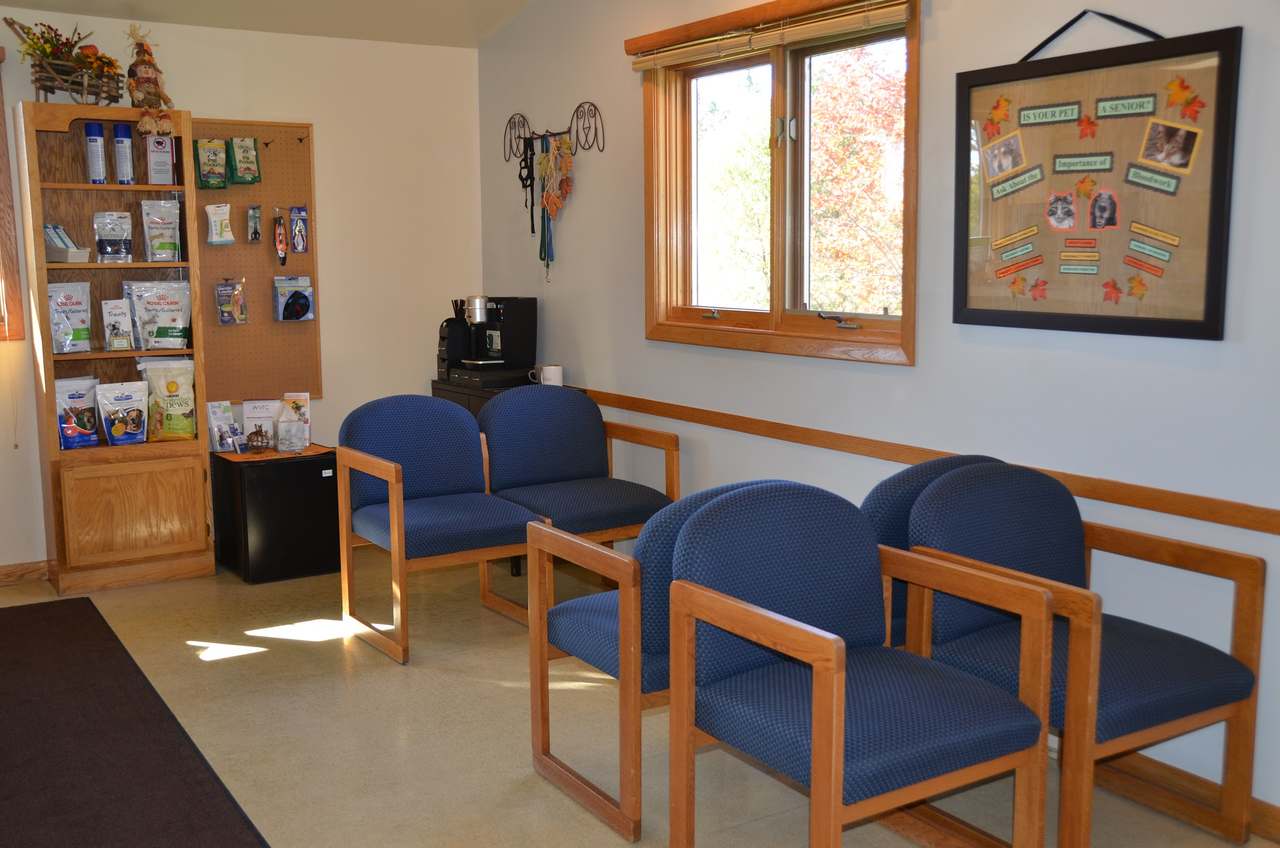 The Little Animal Hospital — photo 5