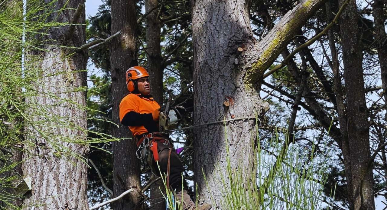 R&J Tree Services — photo 1