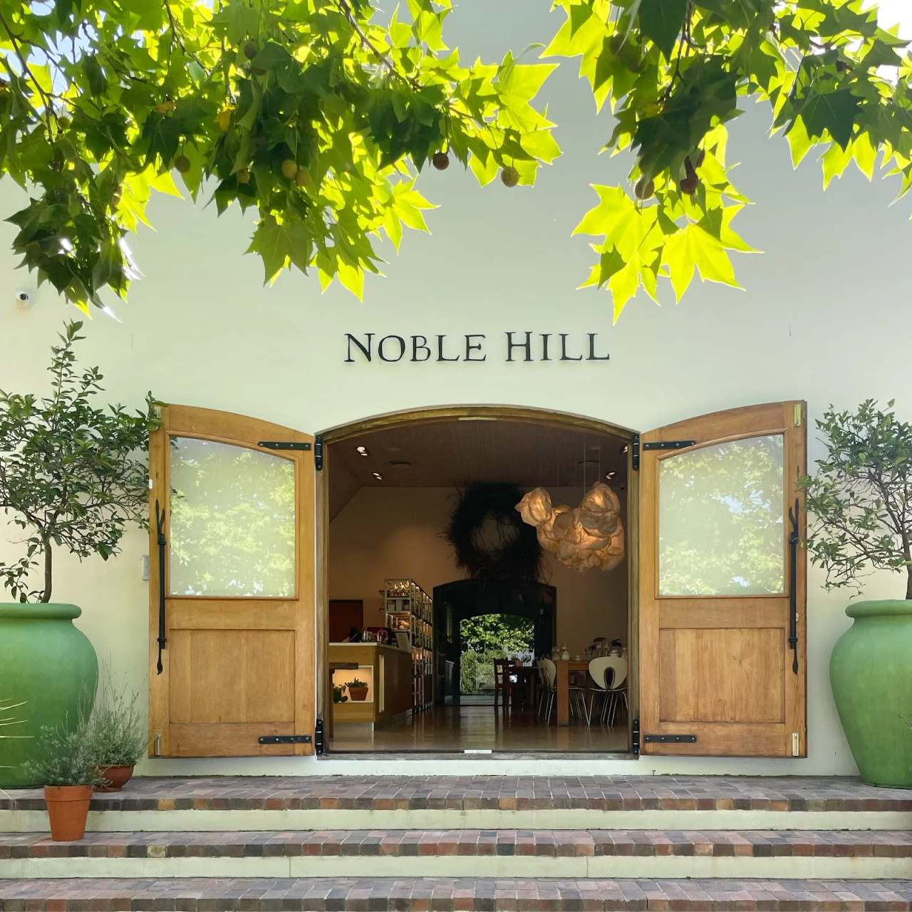 Noble Hill — photo 1