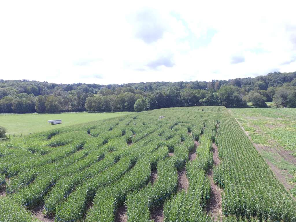 The Farm, Woodbury CT