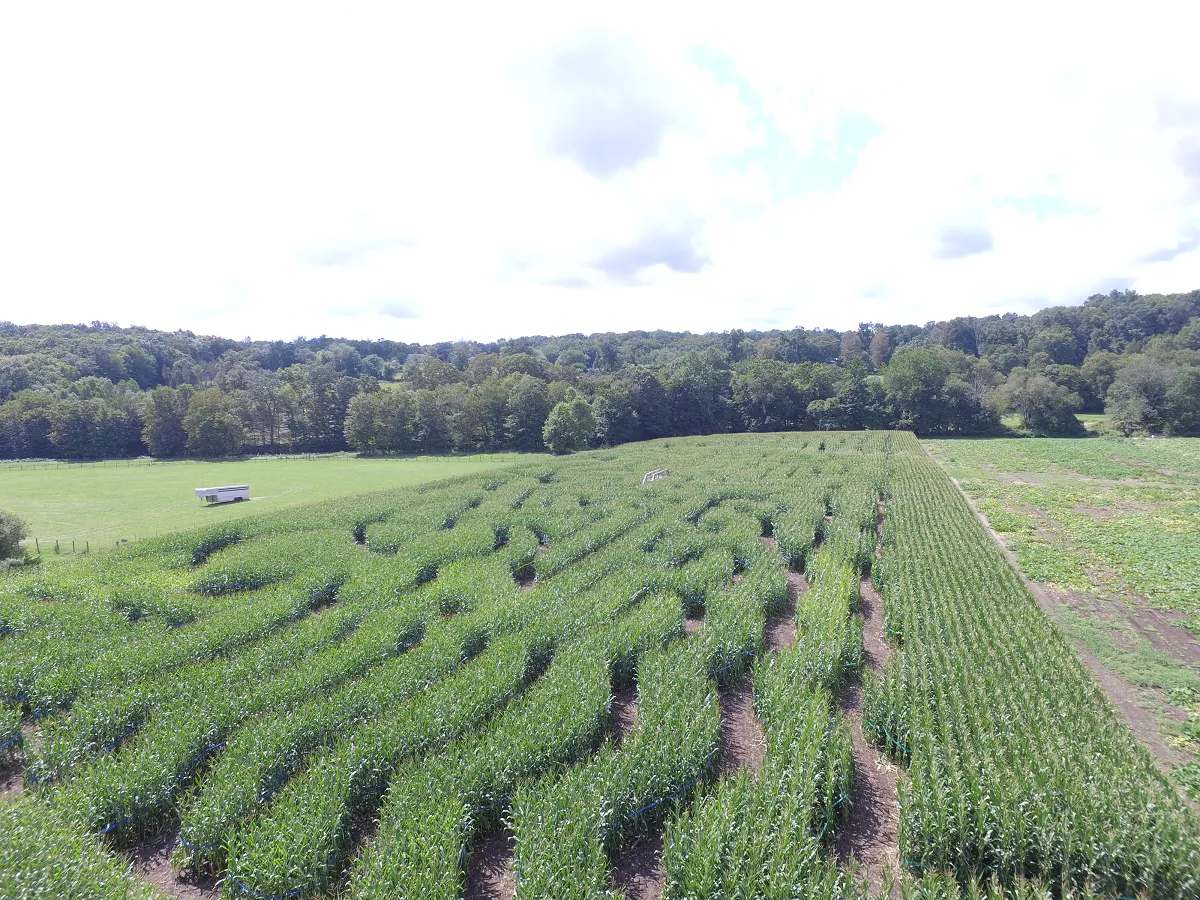 The Farm, Woodbury CT — photo 1