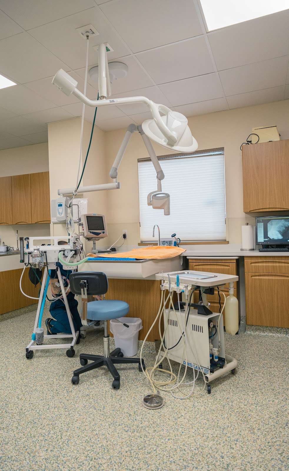 Advanced Animal Hospital - WI