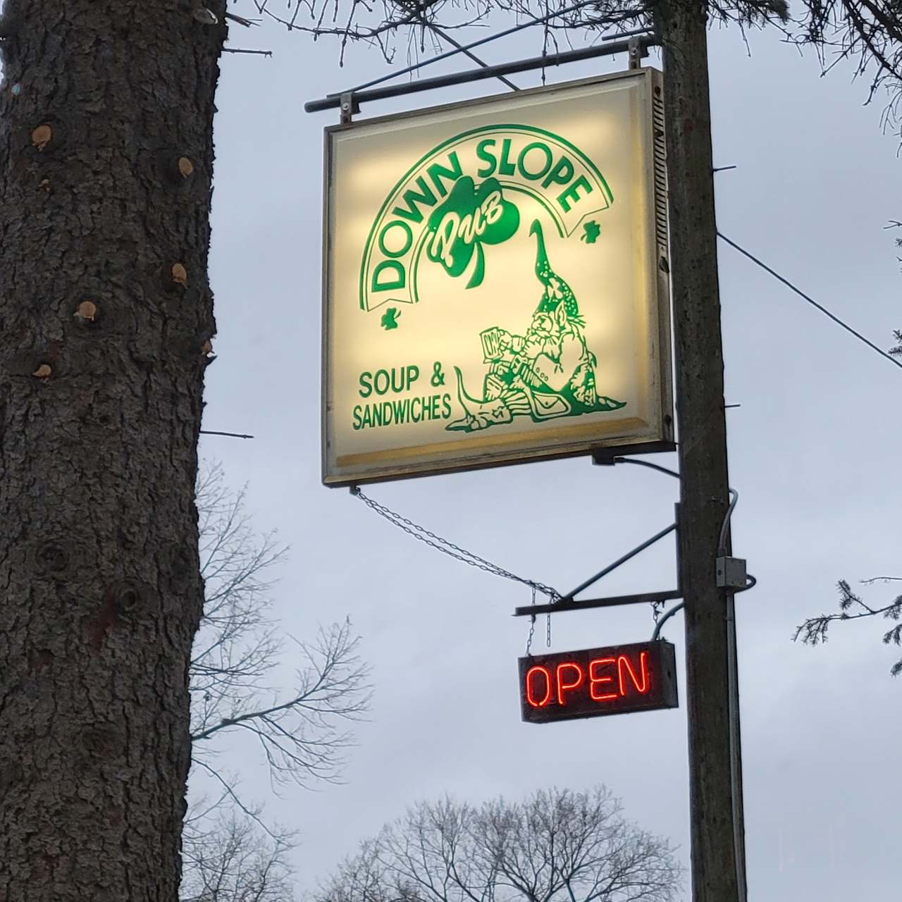 Down Slope Pub — photo 5