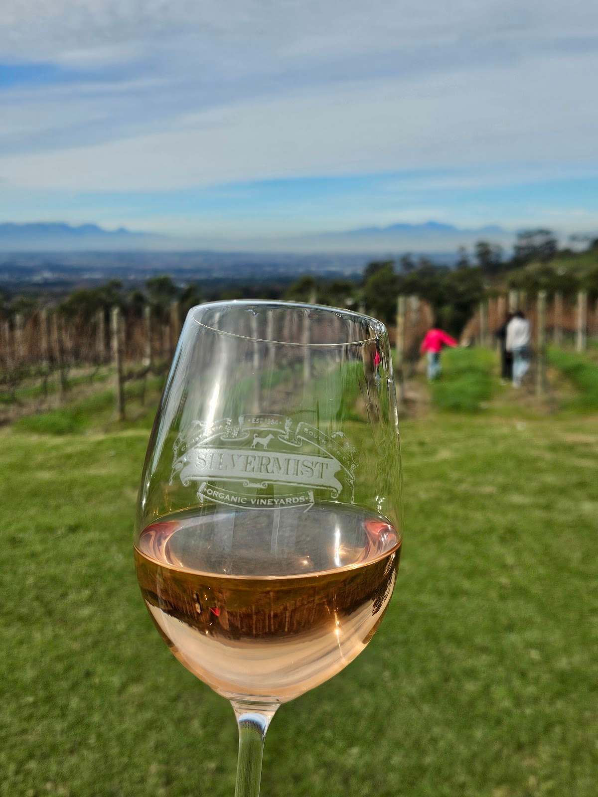 Silvermist Organic Wine Estate — photo 2