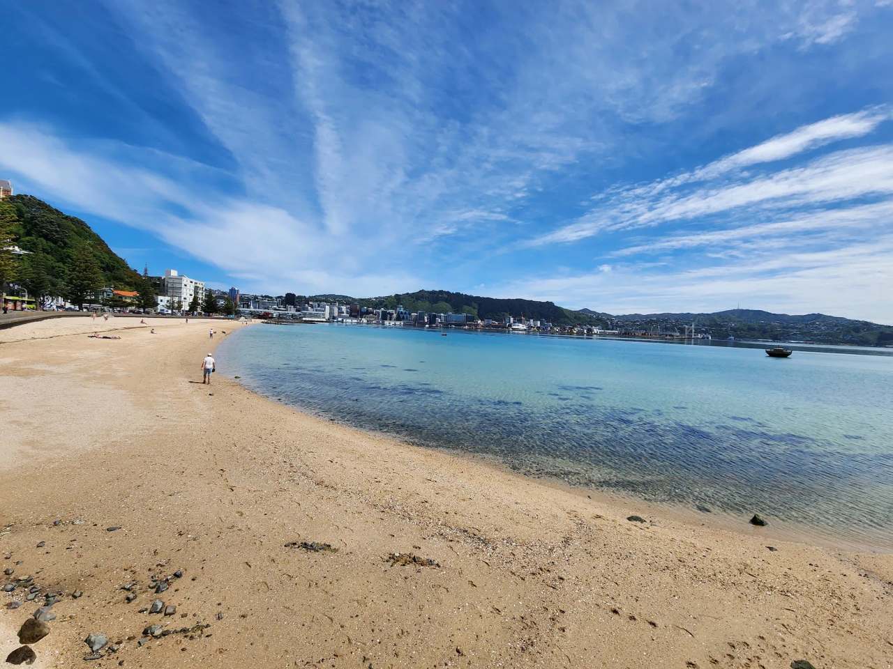 Oriental Bay Beach — photo 1