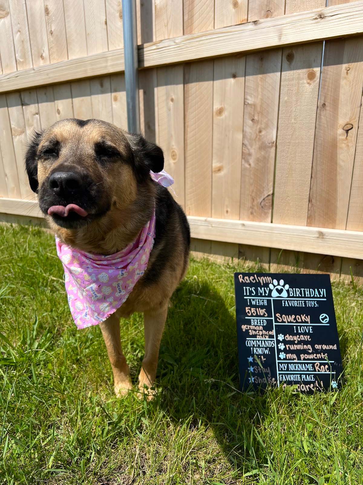 Charming Paws - Grafton — photo 1