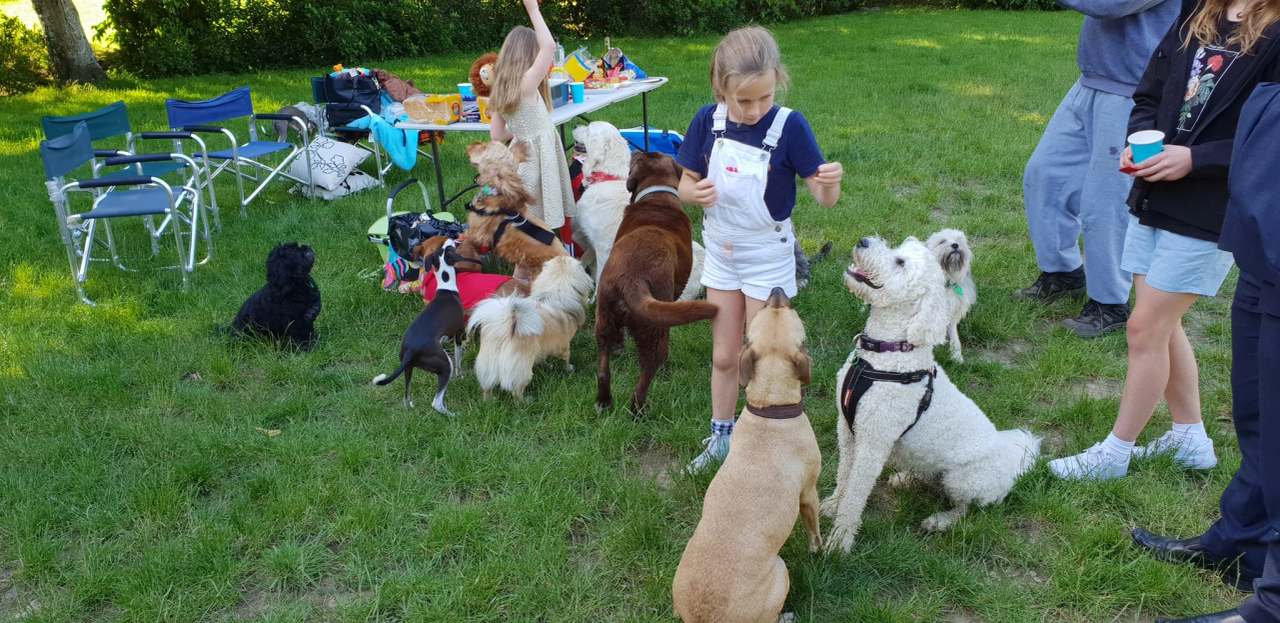 Cummings Park Dog Exercise Area/ Woof Woof Ruff — photo 1