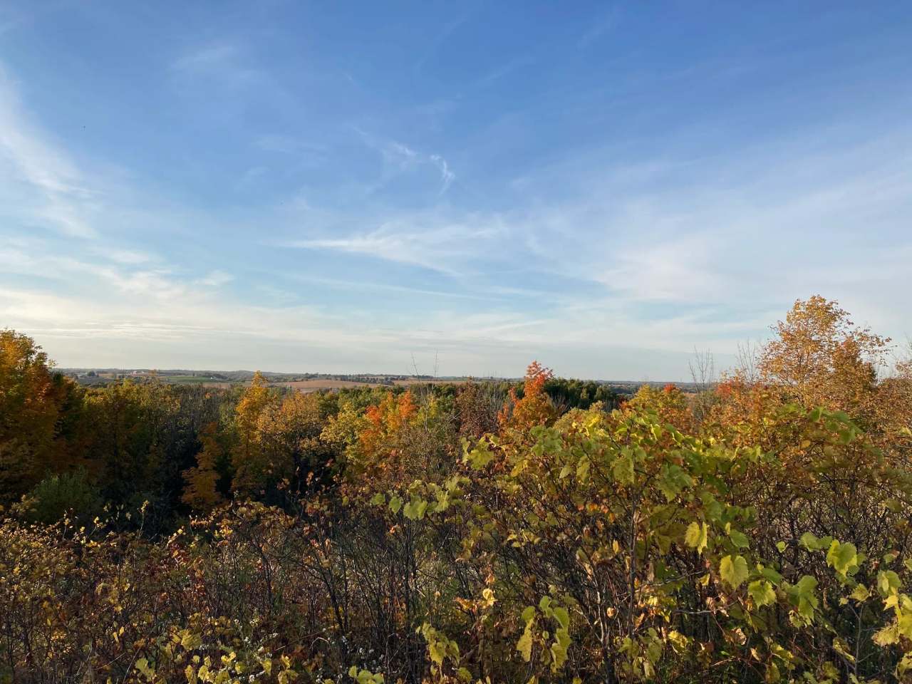 Ice Age Trail - Kewaskum Segment — photo 2