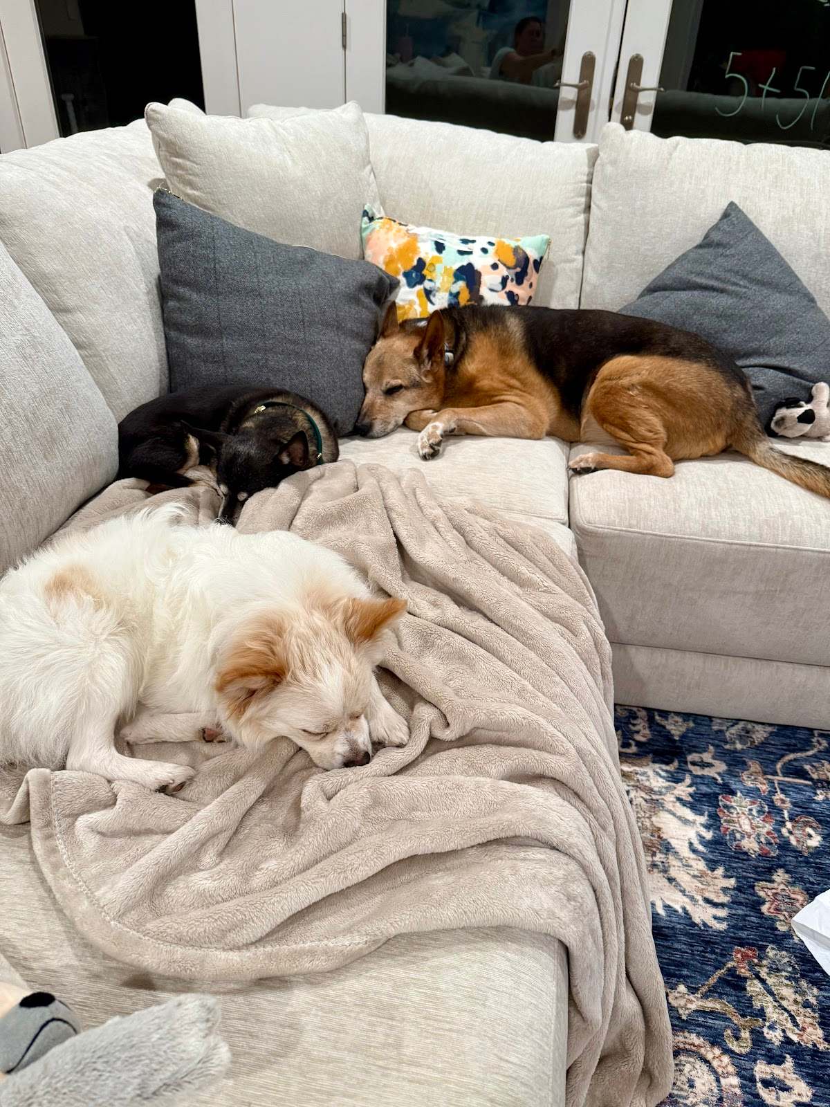 Tailwaggers911 — photo 1