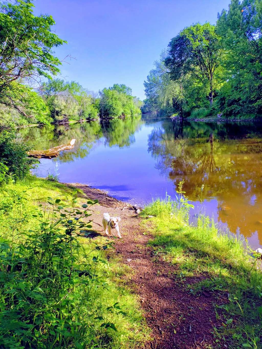 River Barn Park