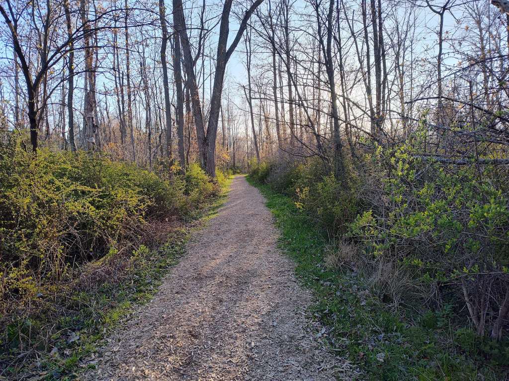 The Black River Trails