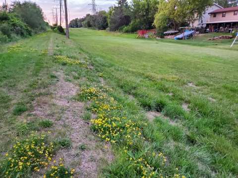 The Powerline Trail — photo 3