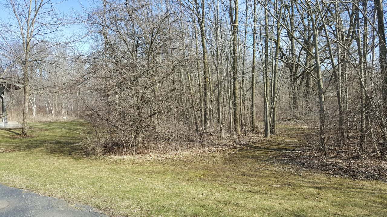 Goeden County Park — photo 4