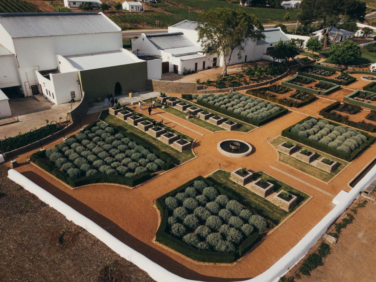 Weltevrede Wine Estate — photo 1