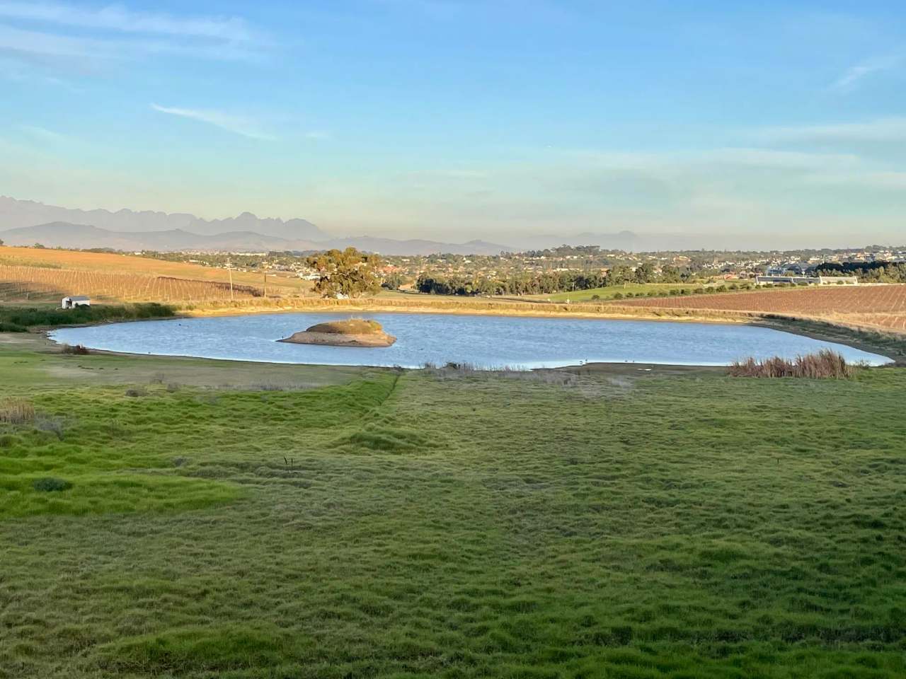 Meerendal Wine Estate — photo 3