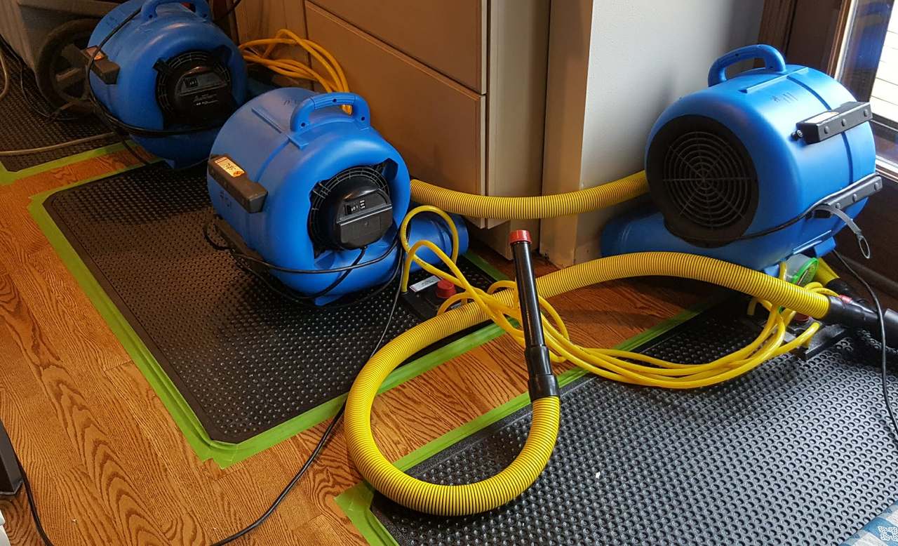 Magic Touch Carpet Cleaning & Water Damage Restoration — photo 4