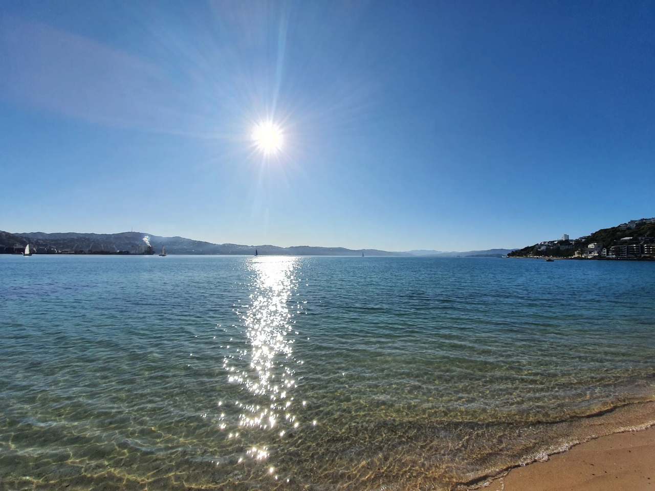 Oriental Bay Lookout — photo 2