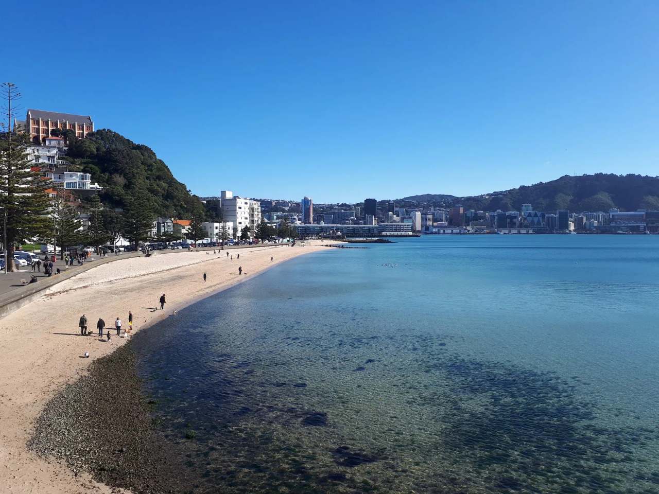 Oriental Bay Lookout — photo 1
