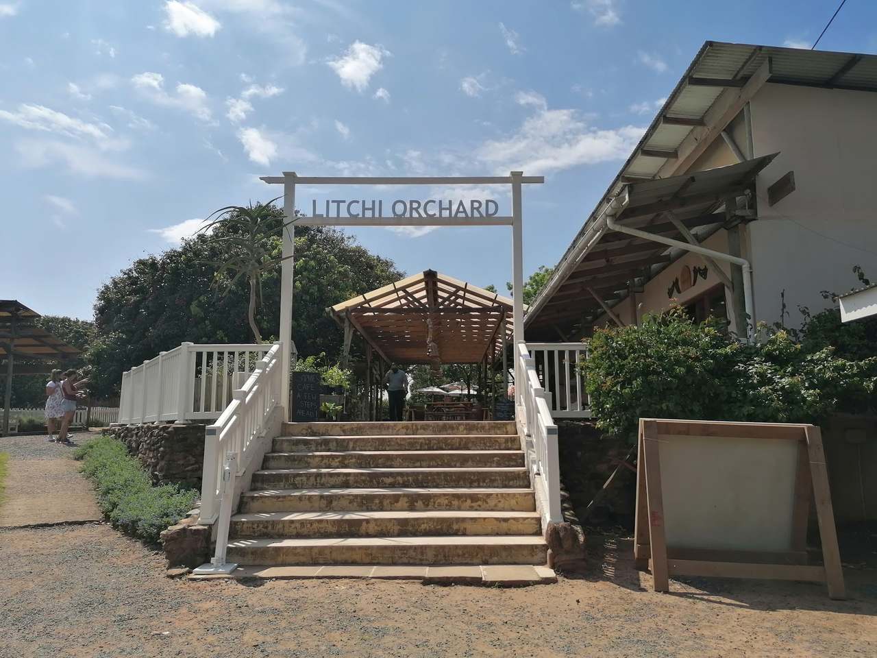 The Litchi Orchard. — photo 2