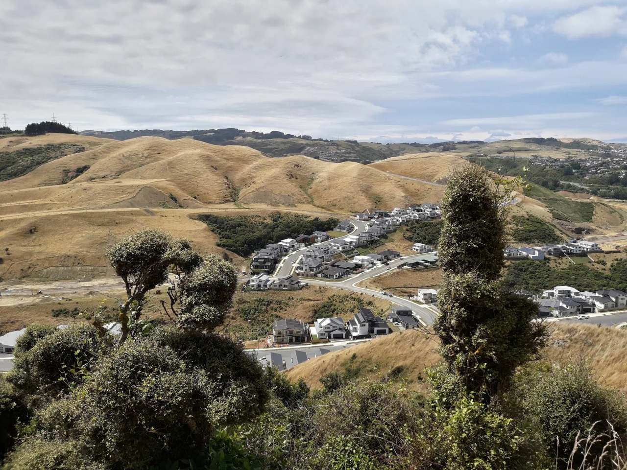 Callender Reserve Churton Park — photo 1
