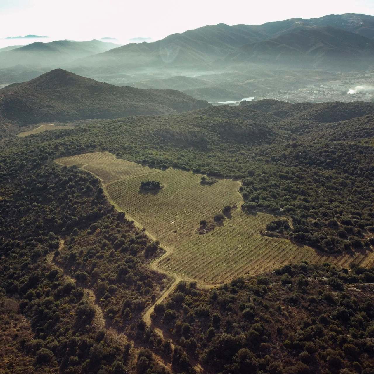 Domaine des Trois Orris — photo 1
