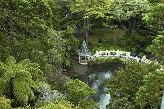 Wellington Botanic Garden — photo 2