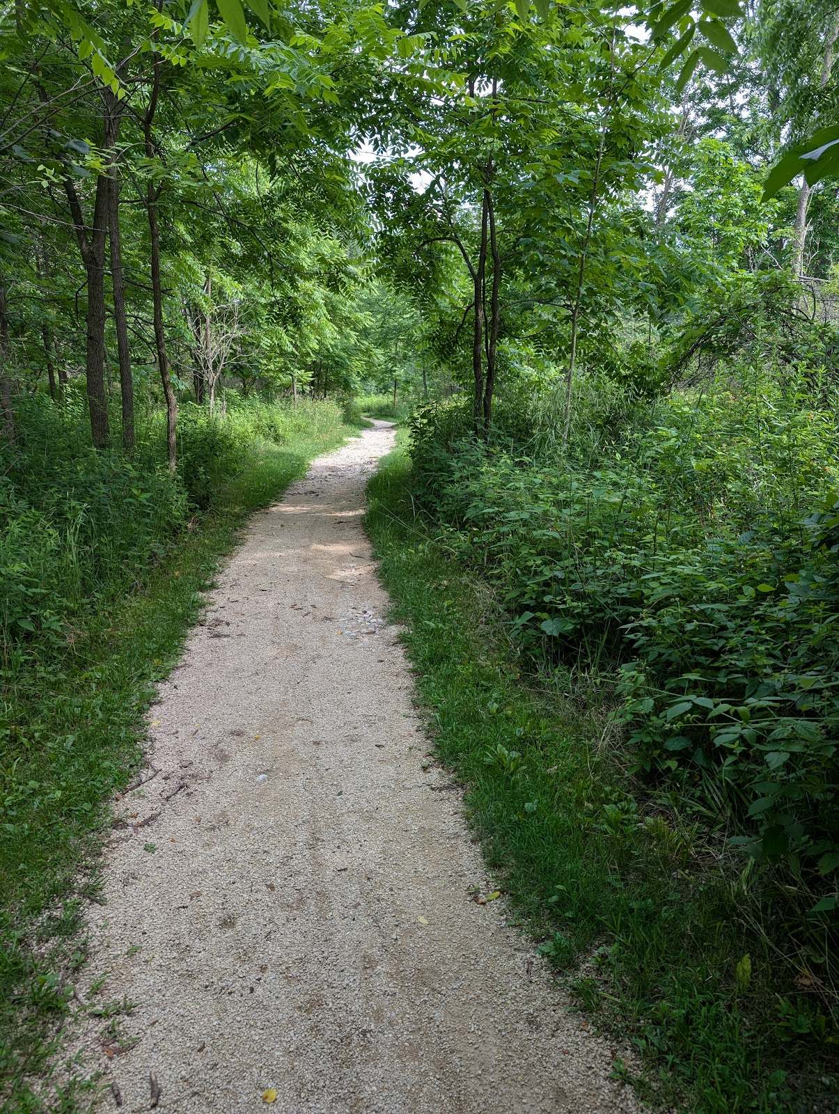 Sauk Creek Nature Preserve — photo 4