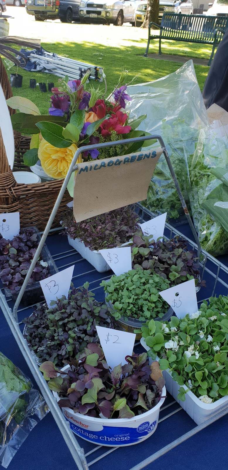 Carterton Farmers' Market — photo 2