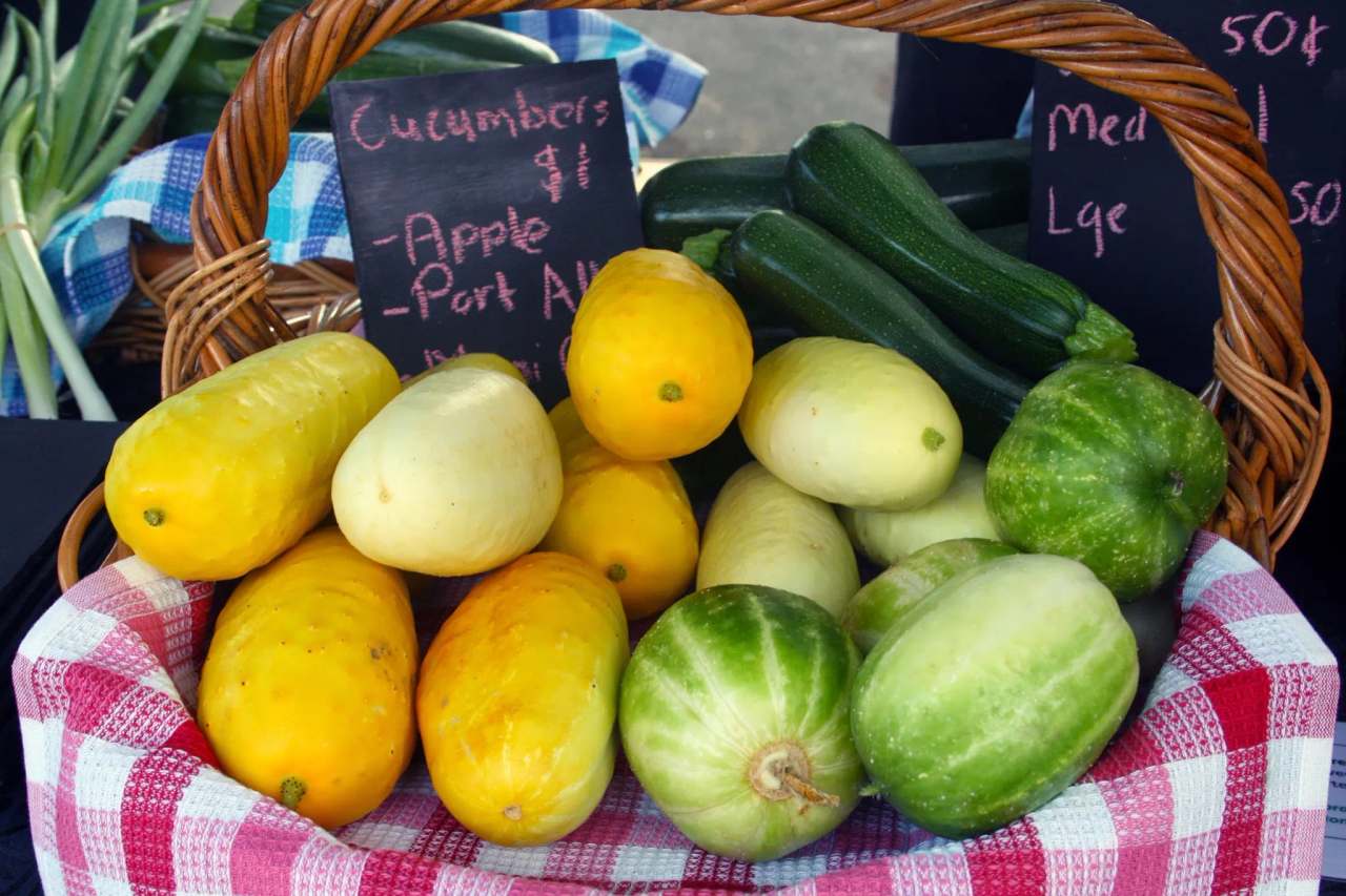 Carterton Farmers' Market — photo 4