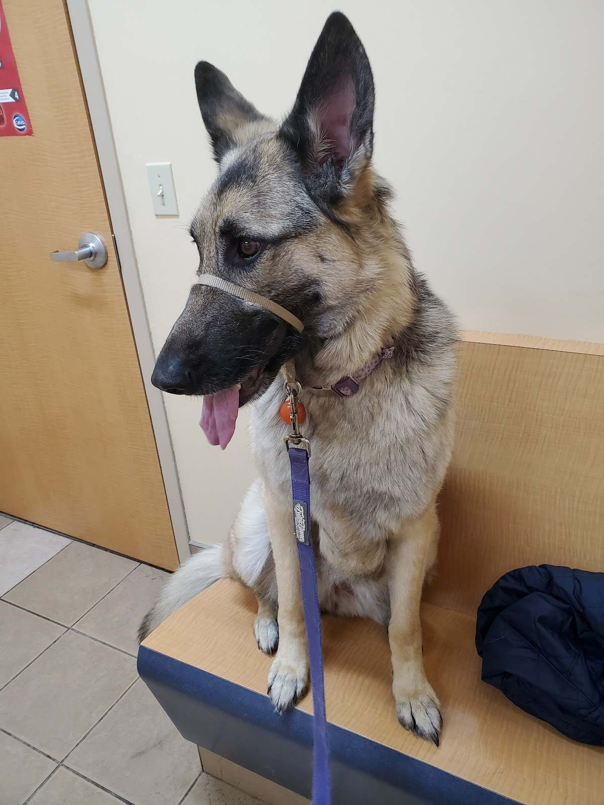 Cedar Grove Veterinary Services — photo 1