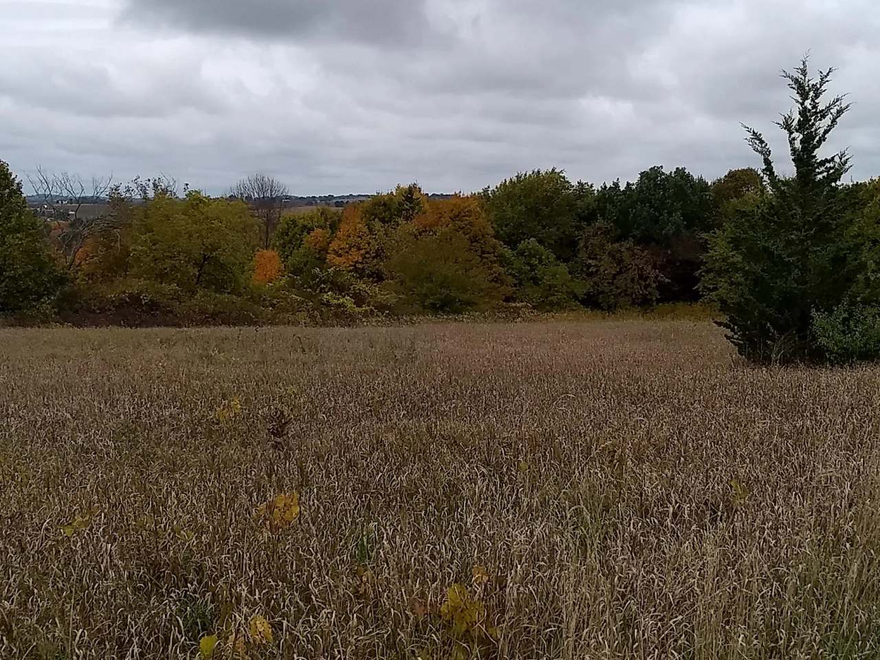 Ice Age Trail Kewaskum Parking Area — photo 2