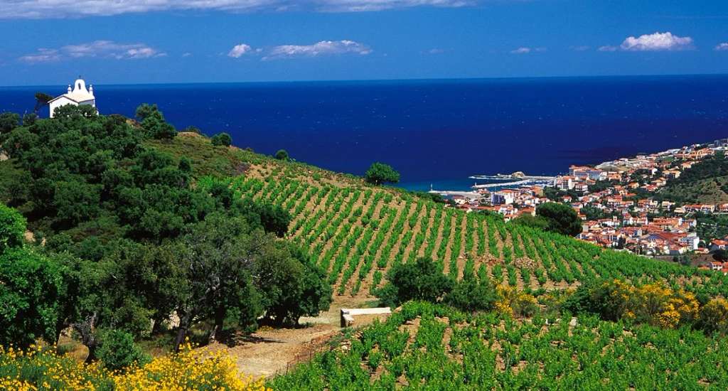 Domaine Pedra Llampada