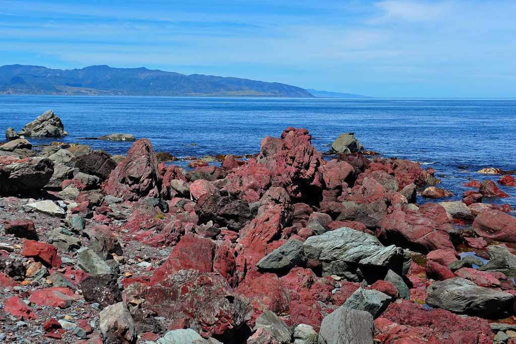 Pariwhero/Red Rocks
