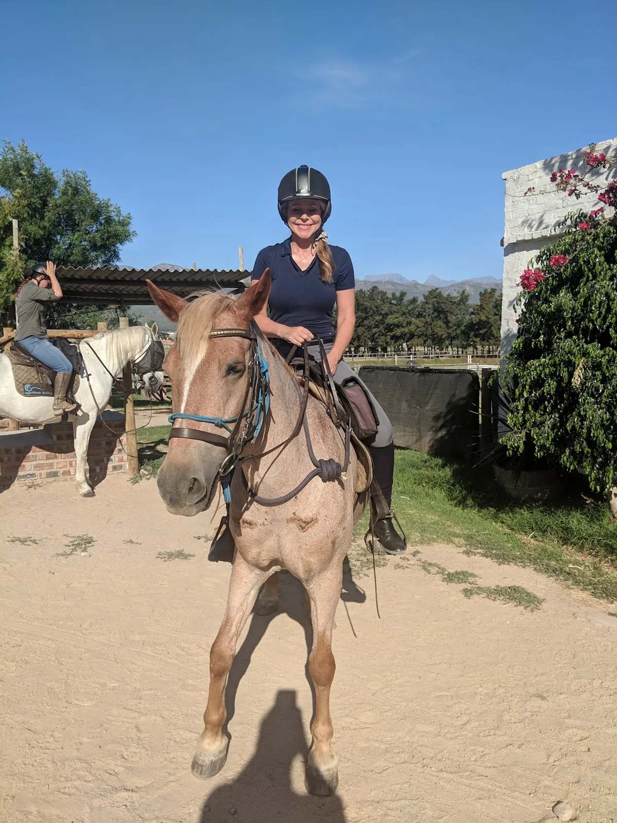 Cape Winelands Riding — photo 3