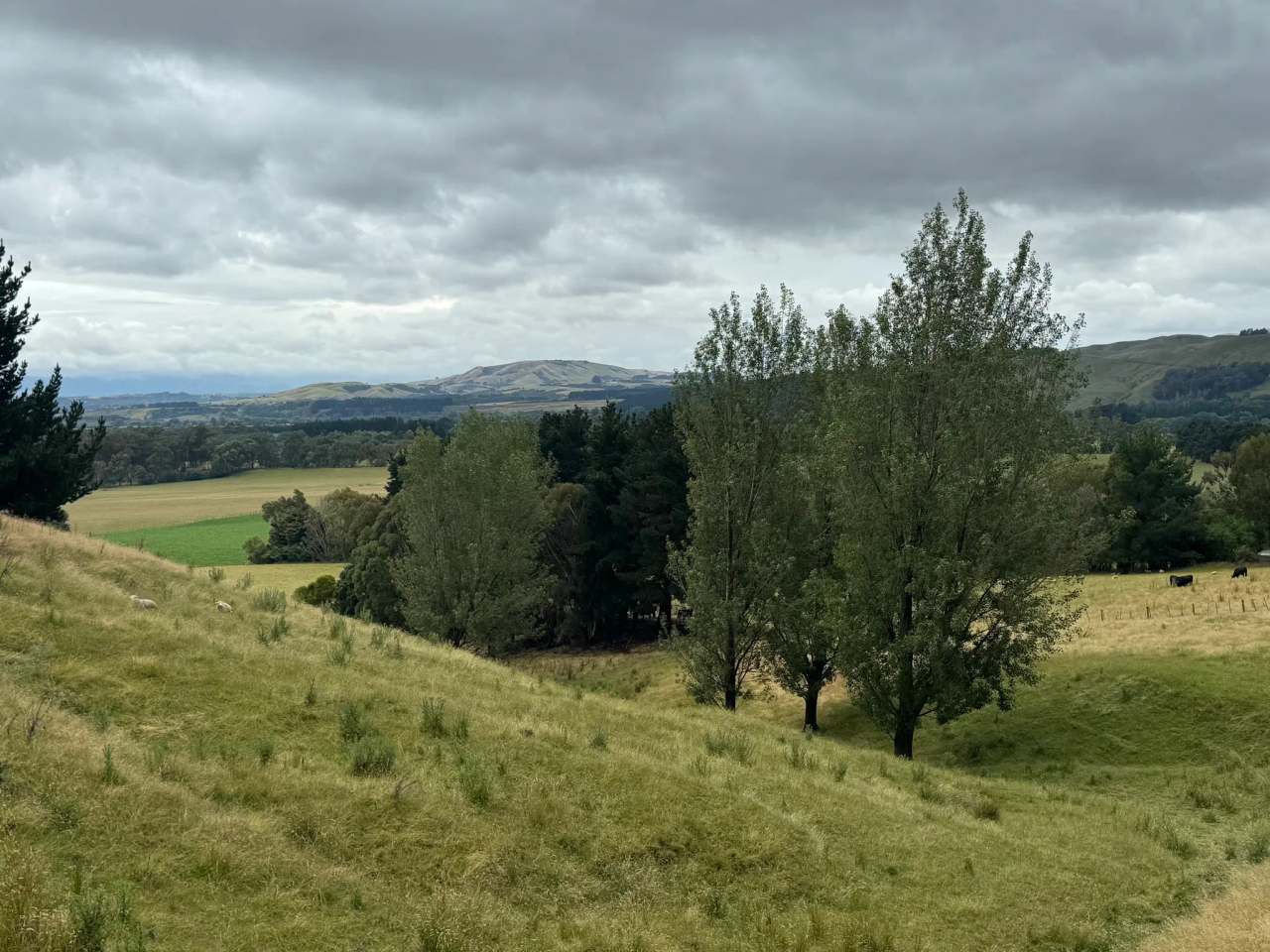 Rapaki Hillside Walk (Start) — photo 1