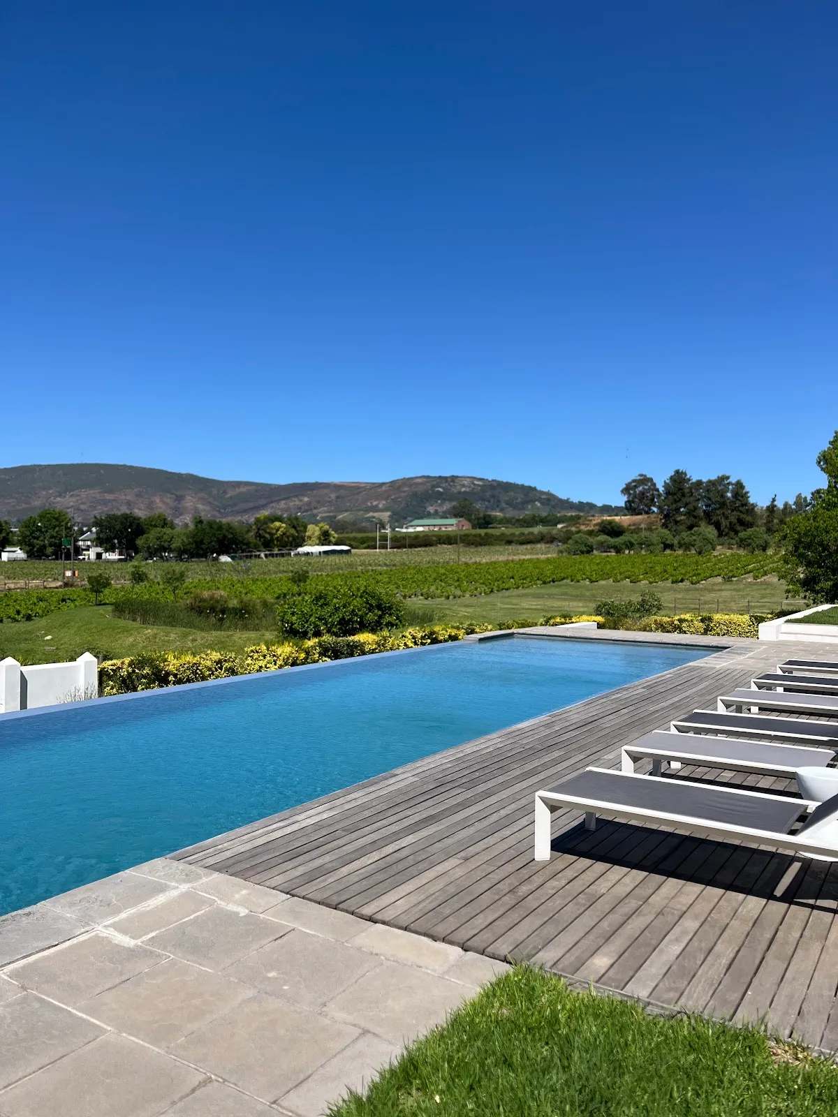 Tempel Wines — photo 2