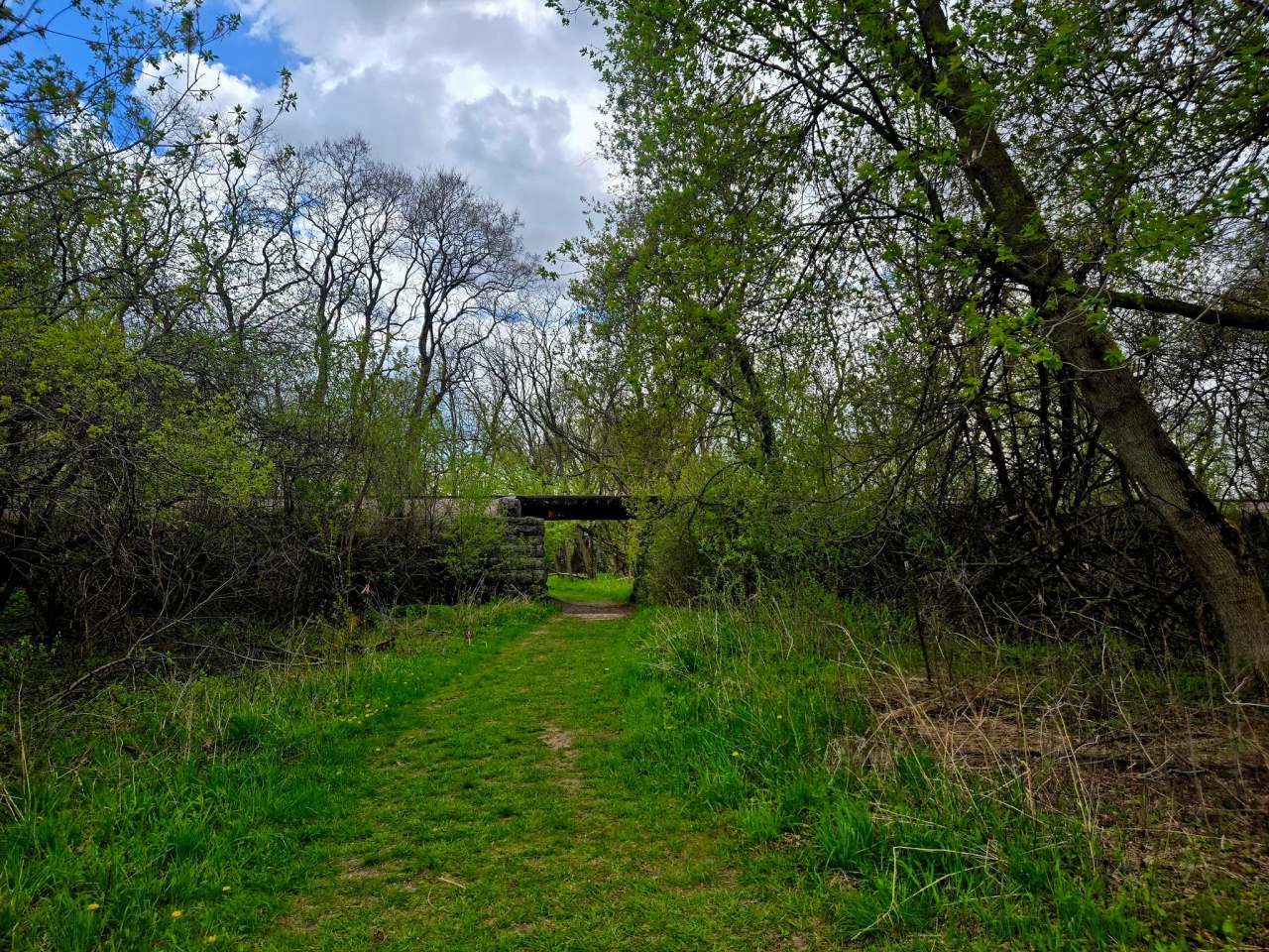 Willow Creek Preserve — photo 1