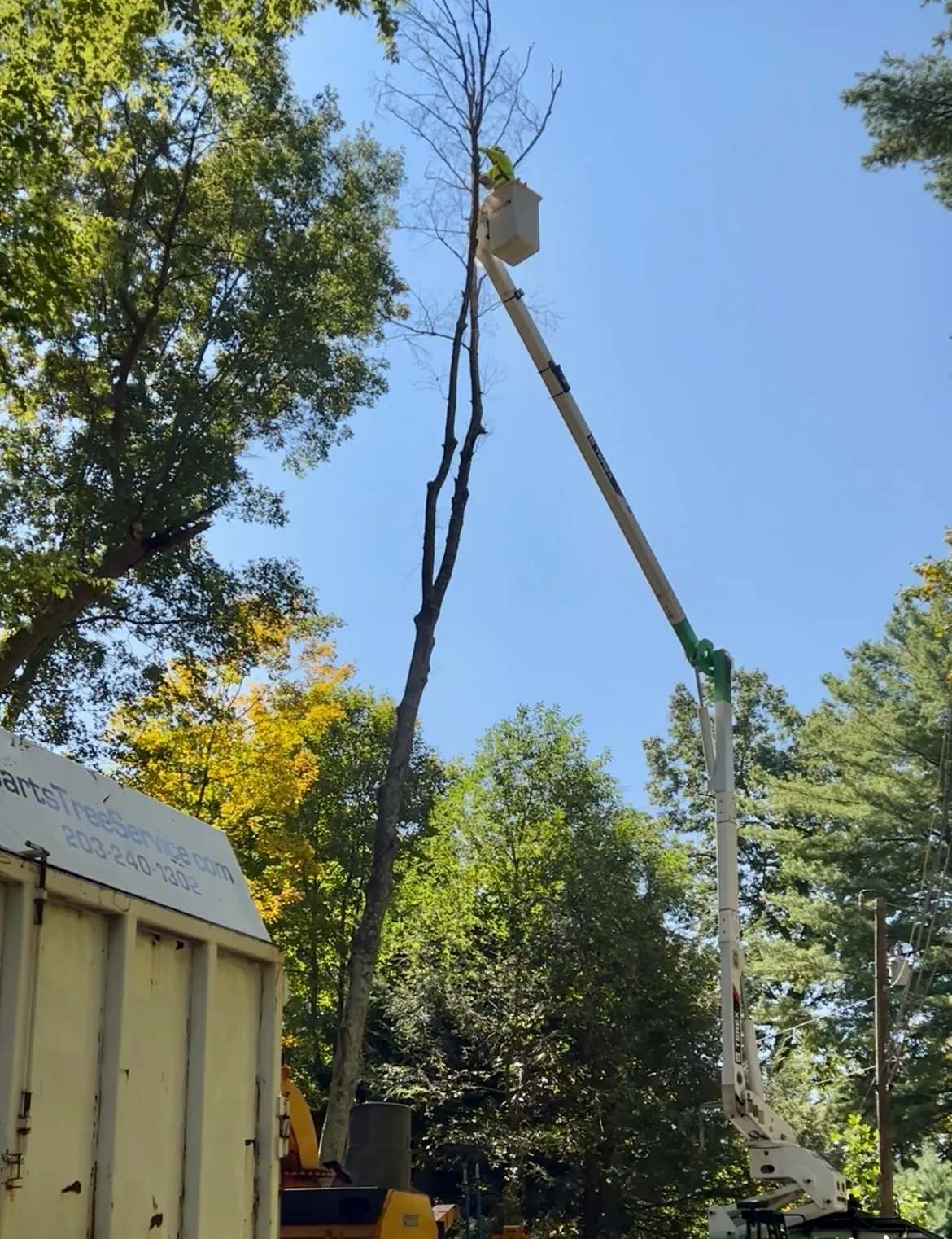 Barts Tree Service — photo 2