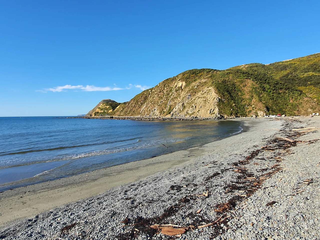 Mākara Beach — photo 1